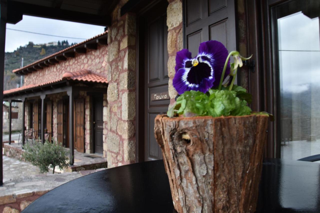Paliokastro Guesthouse Kato Sinikia Trikalon Екстер'єр фото